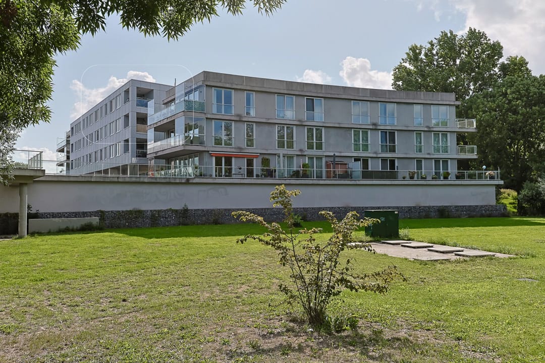 Foto 1 van Cantharel 82