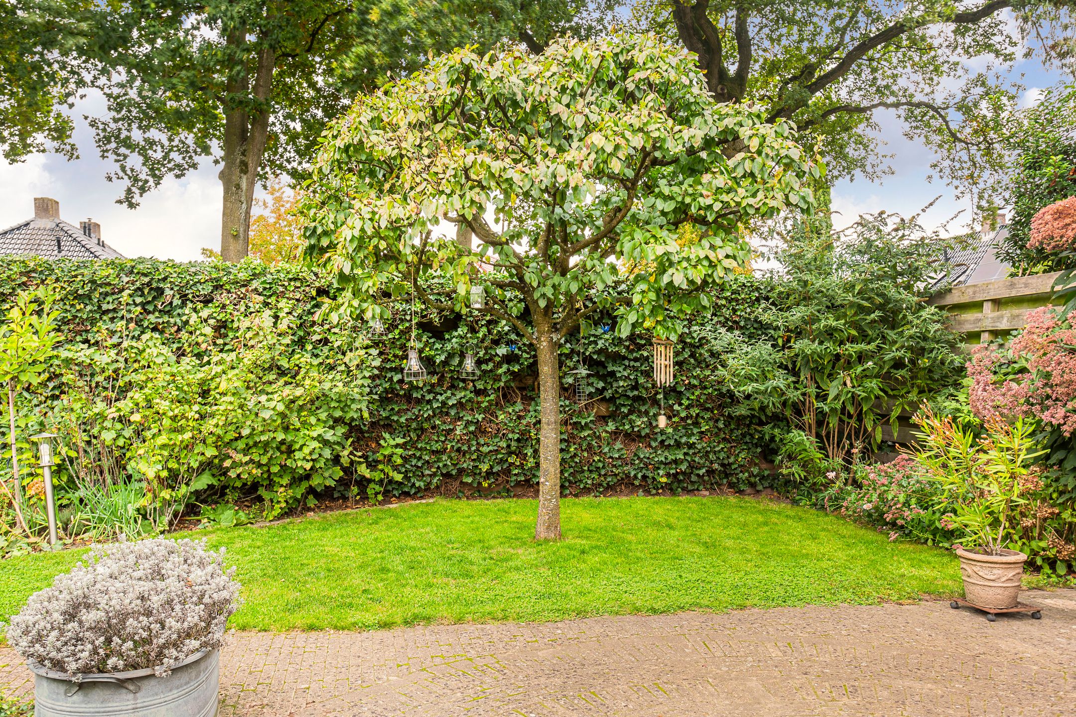 Foto 36 van Vleermuisstraat 28