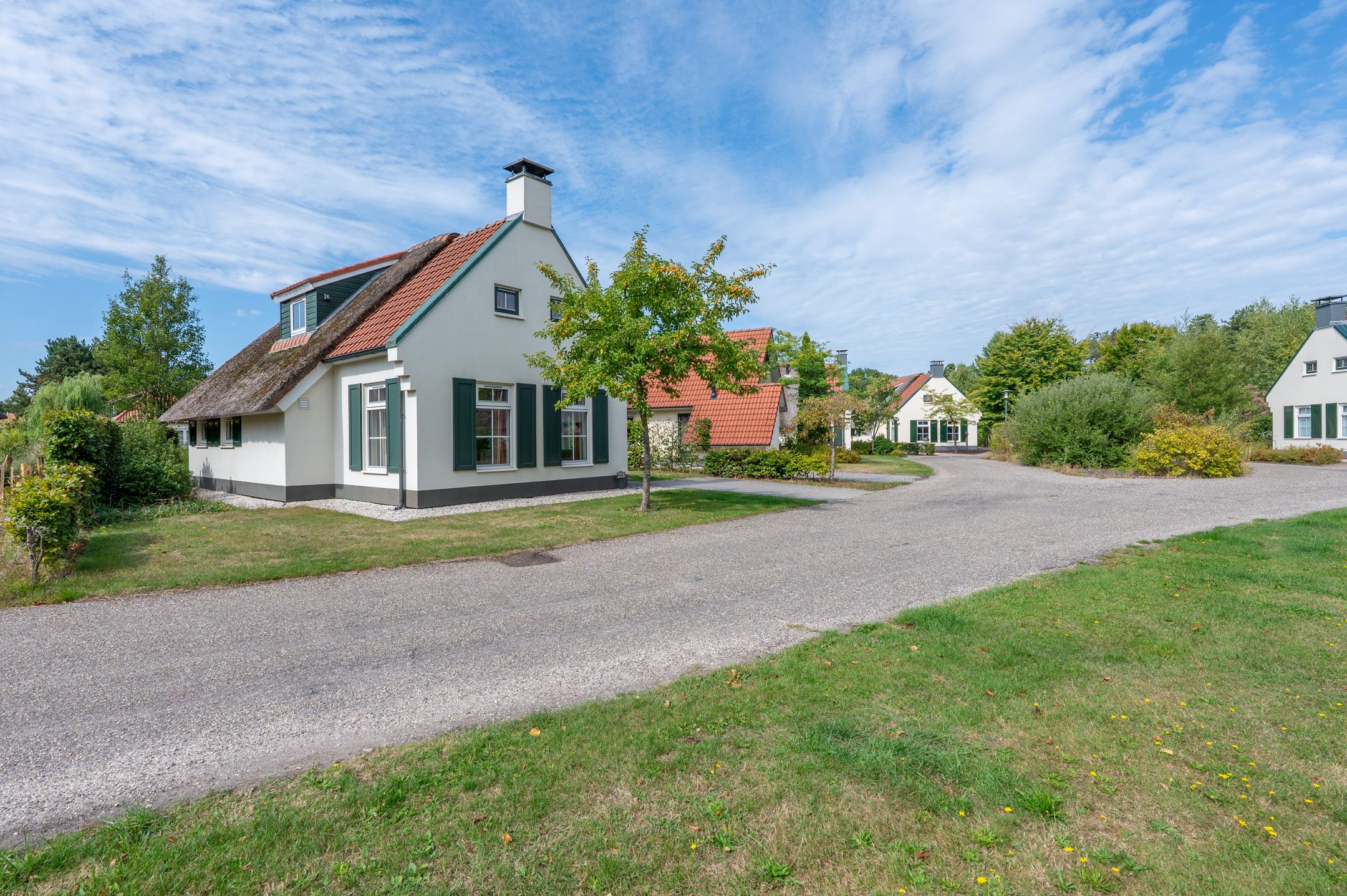 3-bedroom freehold villa in Sevenum — photo 3 of 5