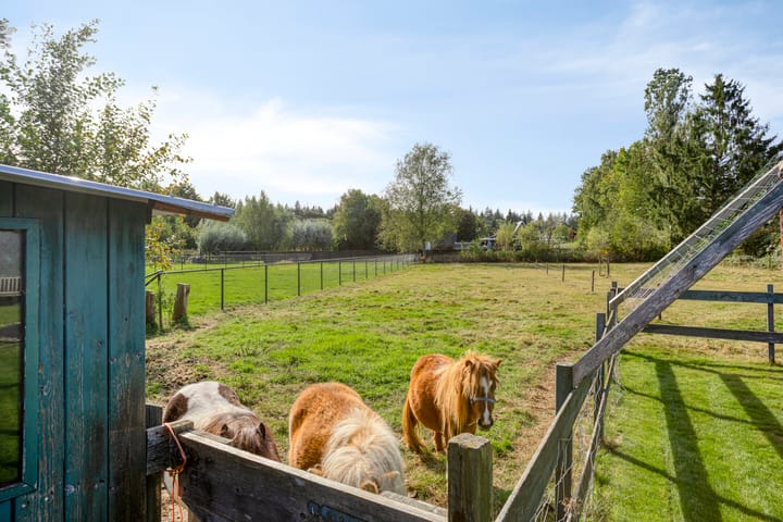 Foto 51 van Oude Zwolseweg 63-3