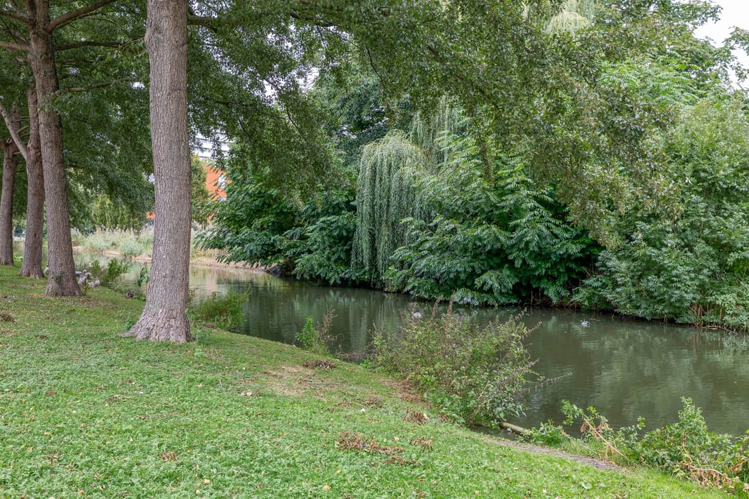 Foto 38 van Rubenssingel 105