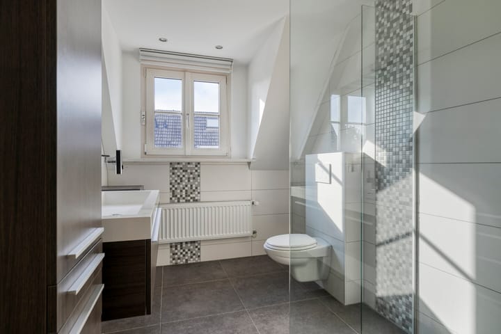 Photo 25 of de Vang 21