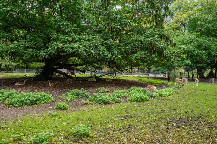 Foto 53 van Singel 42