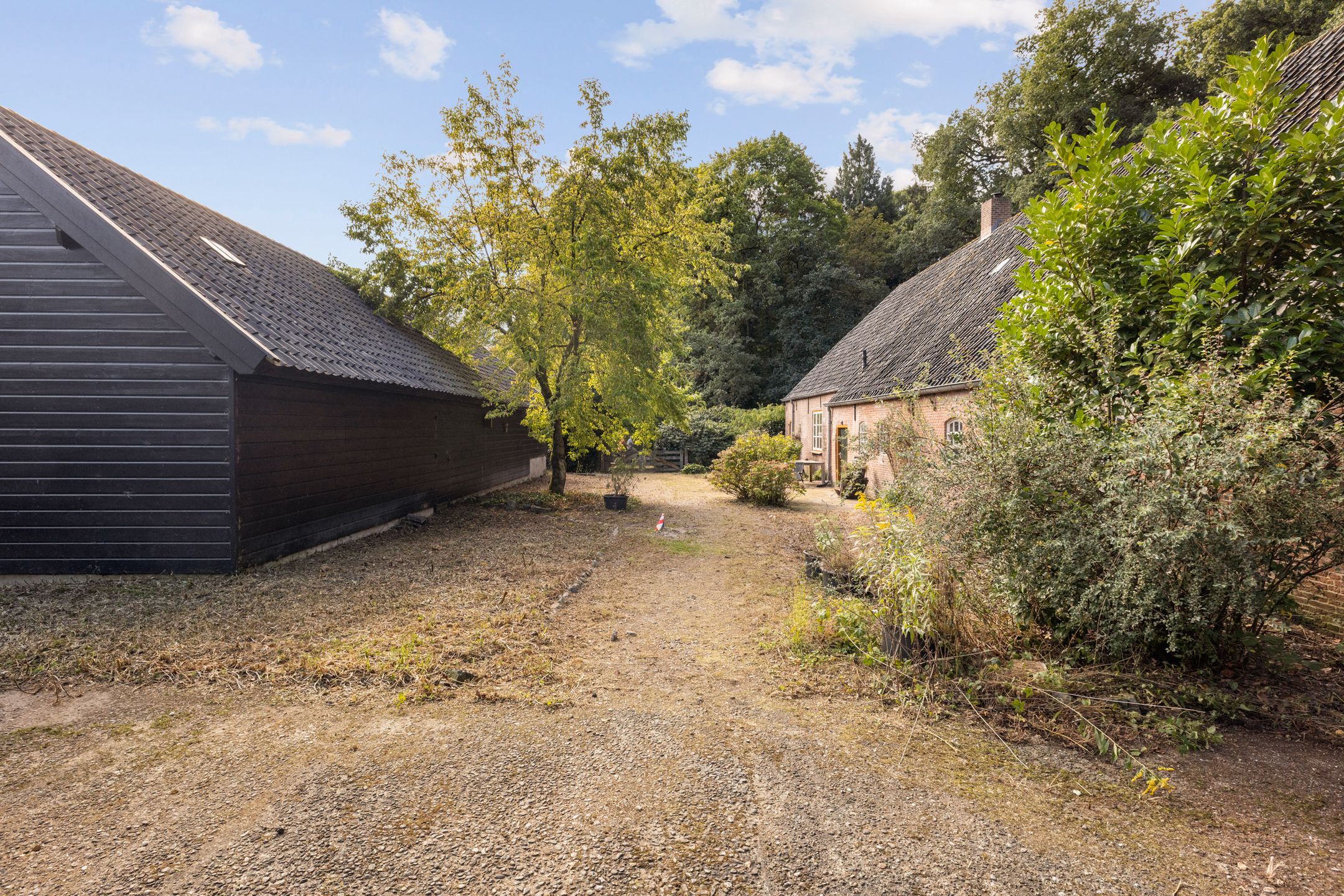 Foto 24 van Hoevensestraat 12