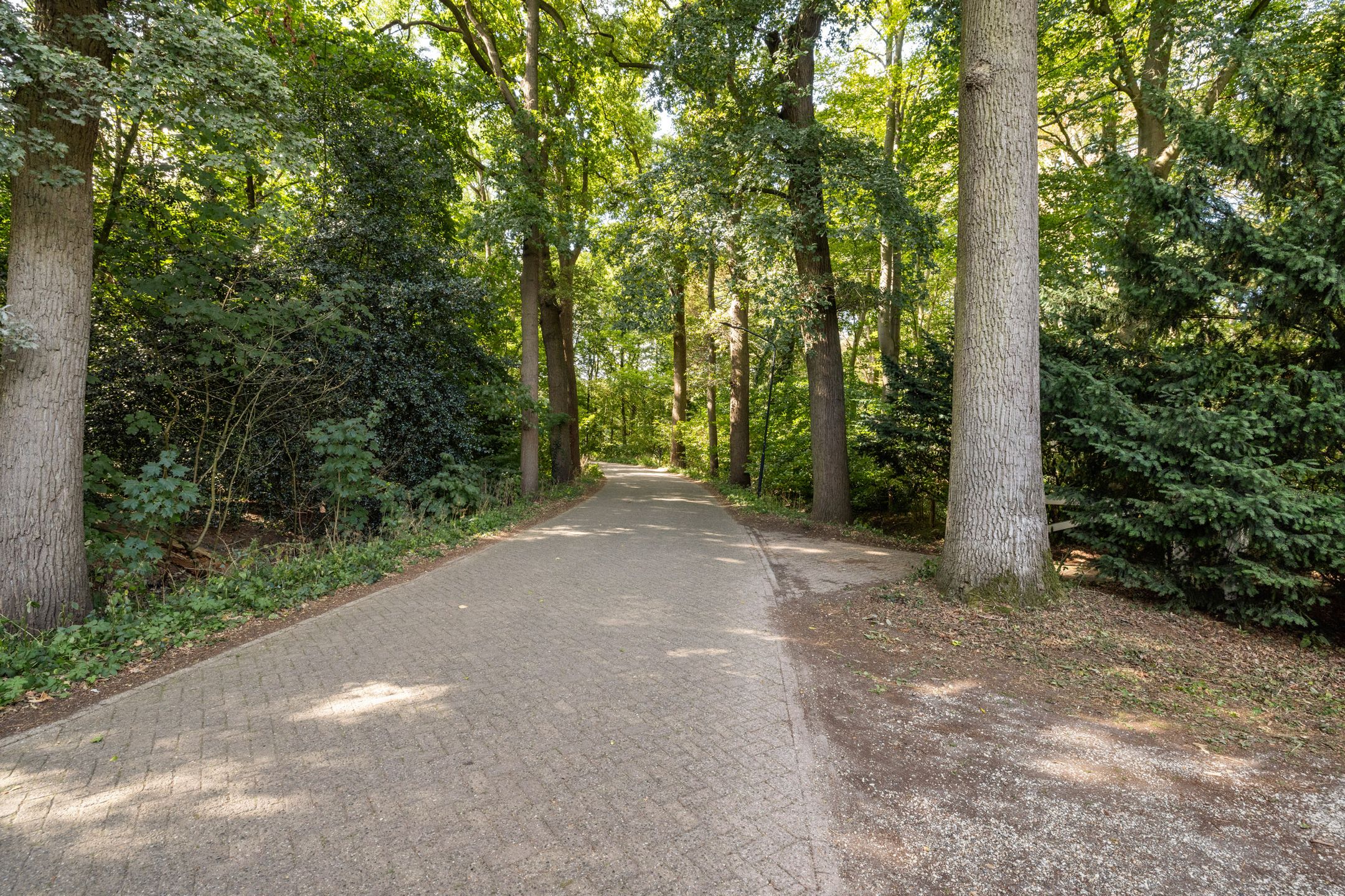 Foto 30 van Hoevensestraat 12