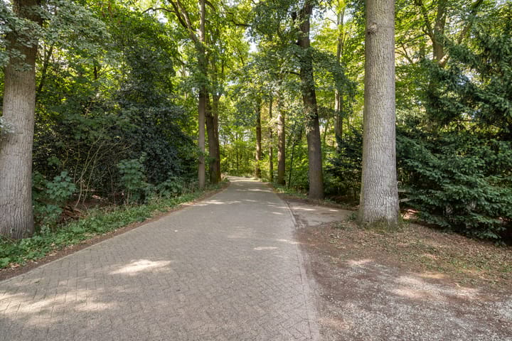 Photo 30 of Hoevensestraat 12