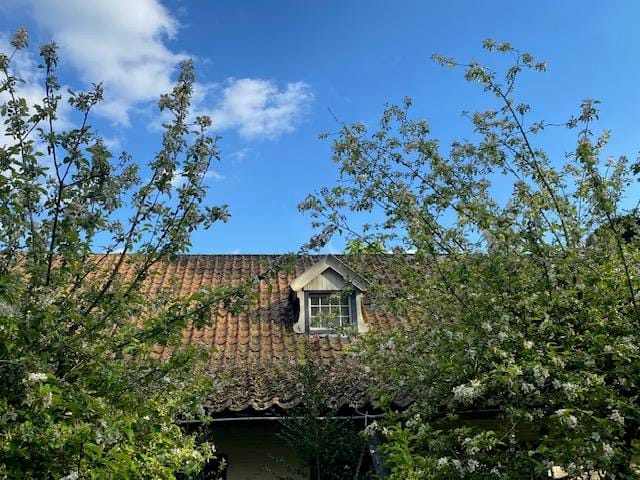 Foto 77 van Meijelsedijk 169