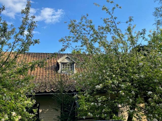 Foto 78 van Meijelsedijk 169