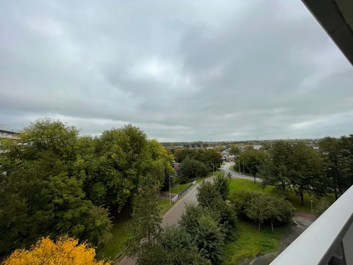 Foto 3 van Rosmolen 59