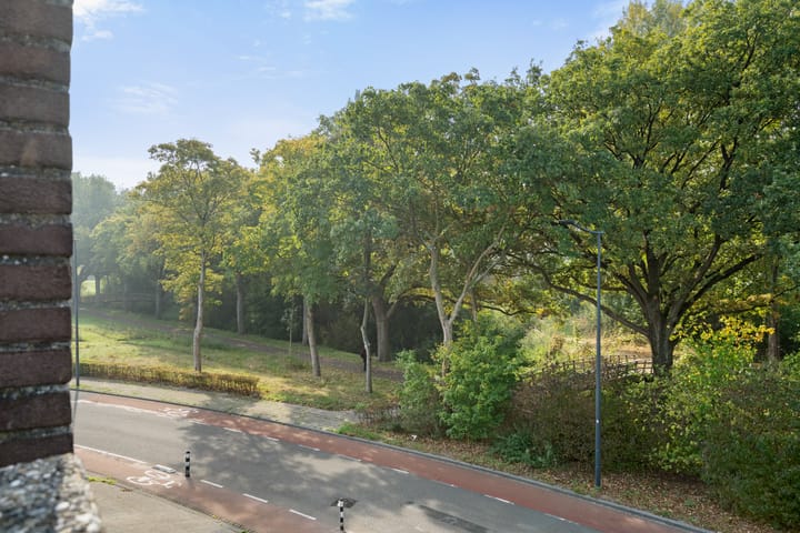 Foto 30 van Ambachtenlaan 133