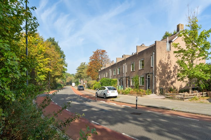 Foto 41 van Ambachtenlaan 133