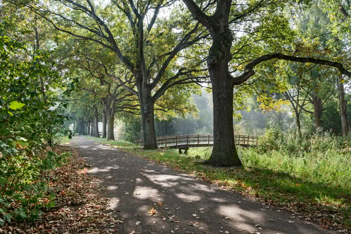 Foto 45 van Ambachtenlaan 133