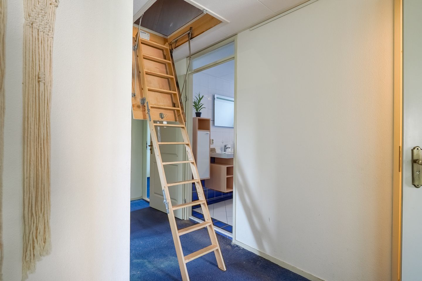 Foto 49 van Mari Andriessenhof 77