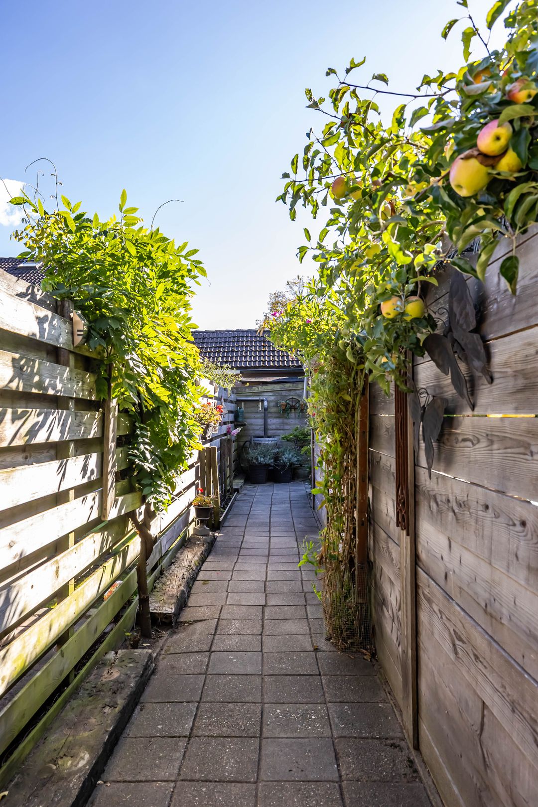 Photo 31 of Dikninge 40