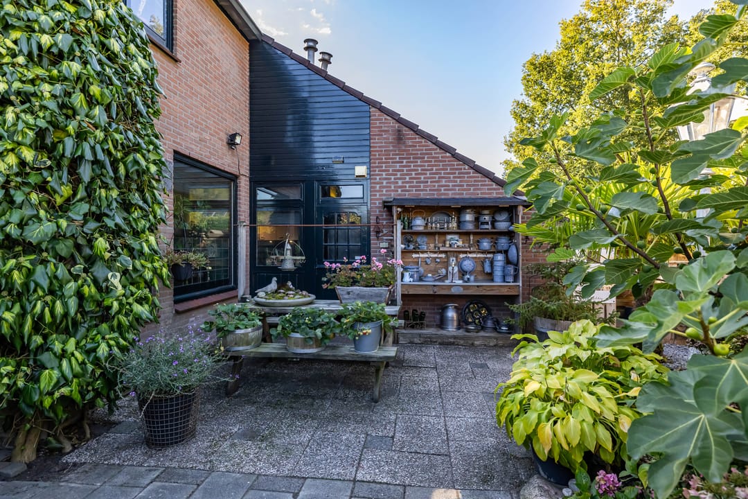 Photo 32 of Dikninge 40