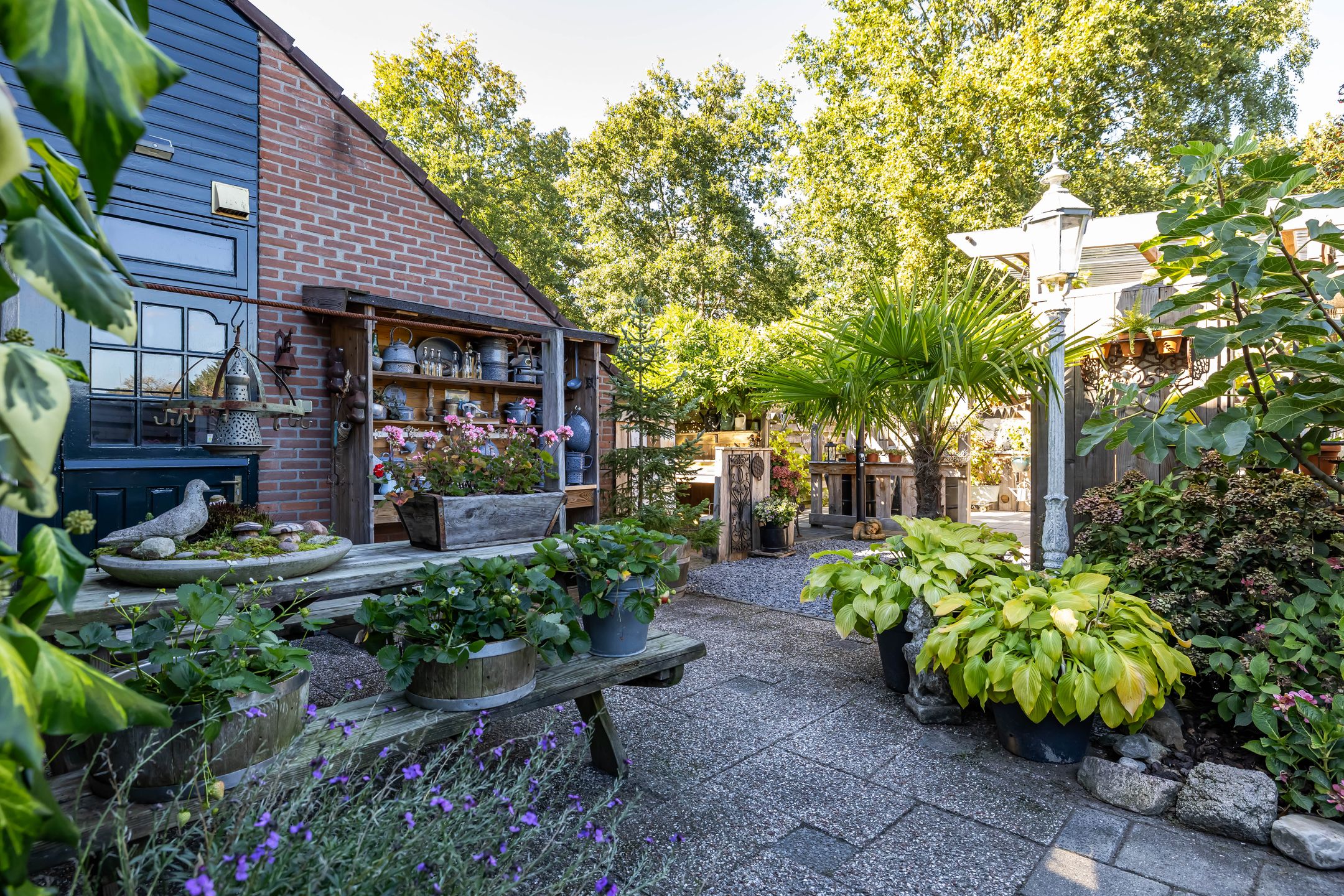 Photo 36 of Dikninge 40