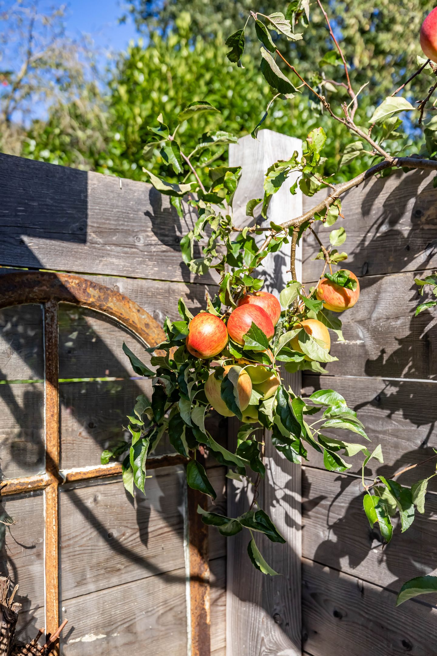 Photo 40 of Dikninge 40