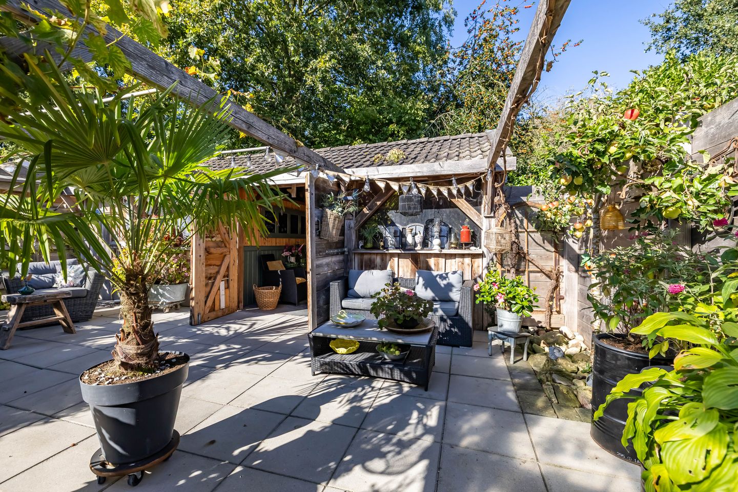 Photo 50 of Dikninge 40