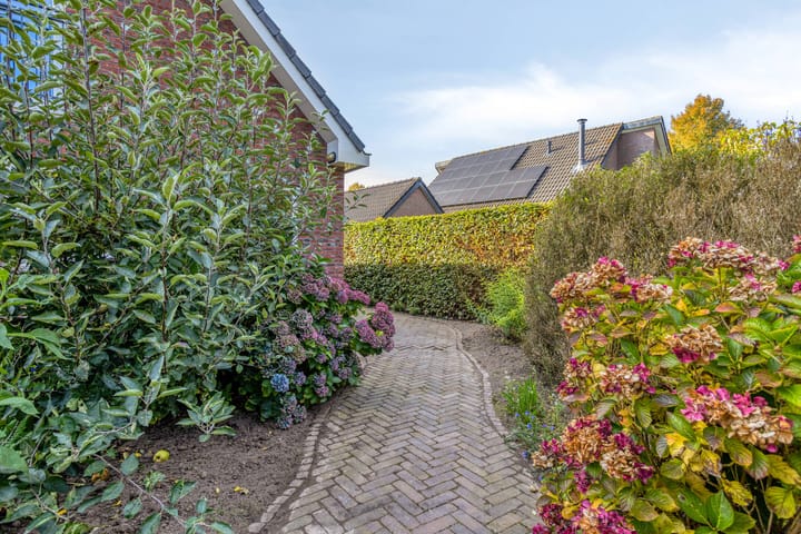 Photo 59 of Altena 3