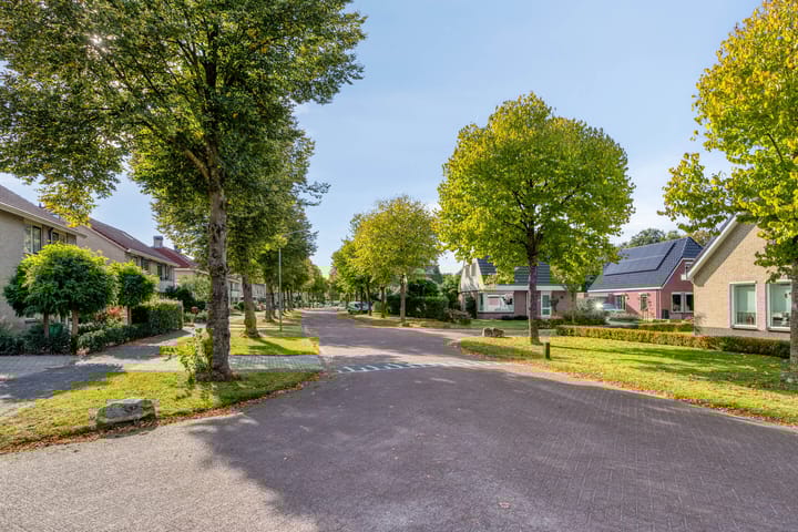 Photo 64 of Altena 3