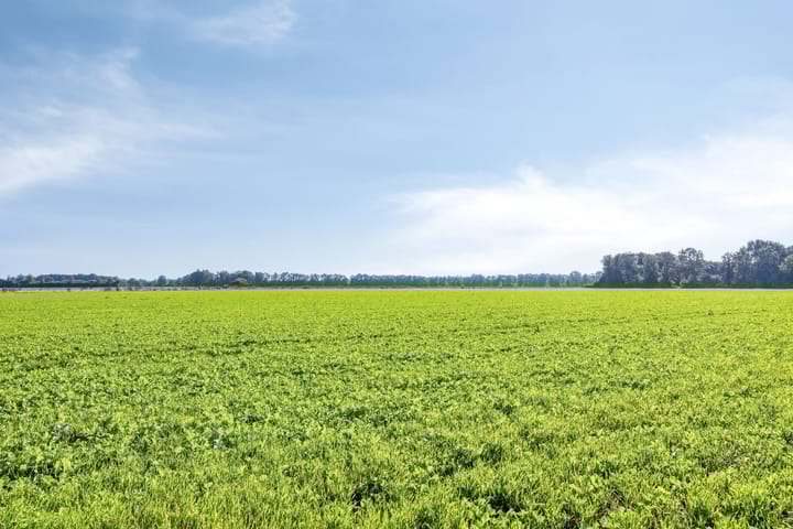 Photo 68 of Altena 3