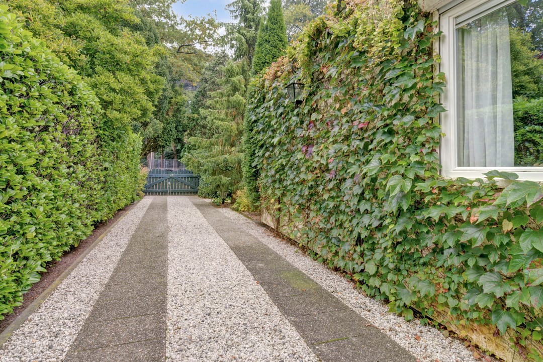 Foto 43 van Selsweg 4