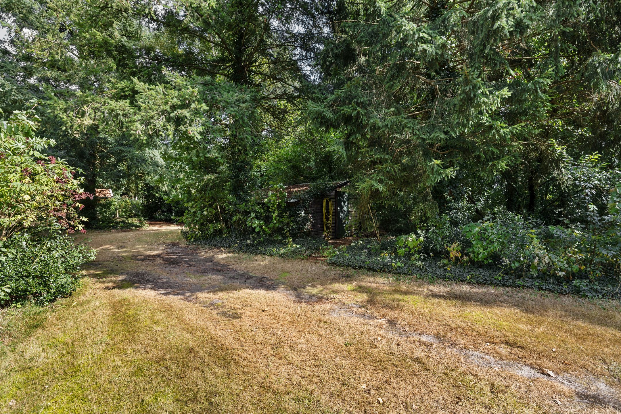 Foto 3 van Bergweg 12