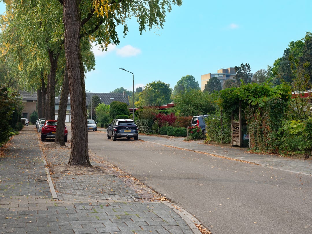 Photo 23 of Lankforst 4012