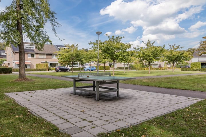 Foto 53 van Ravellaan 7