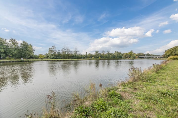 Foto 57 van Ravellaan 7