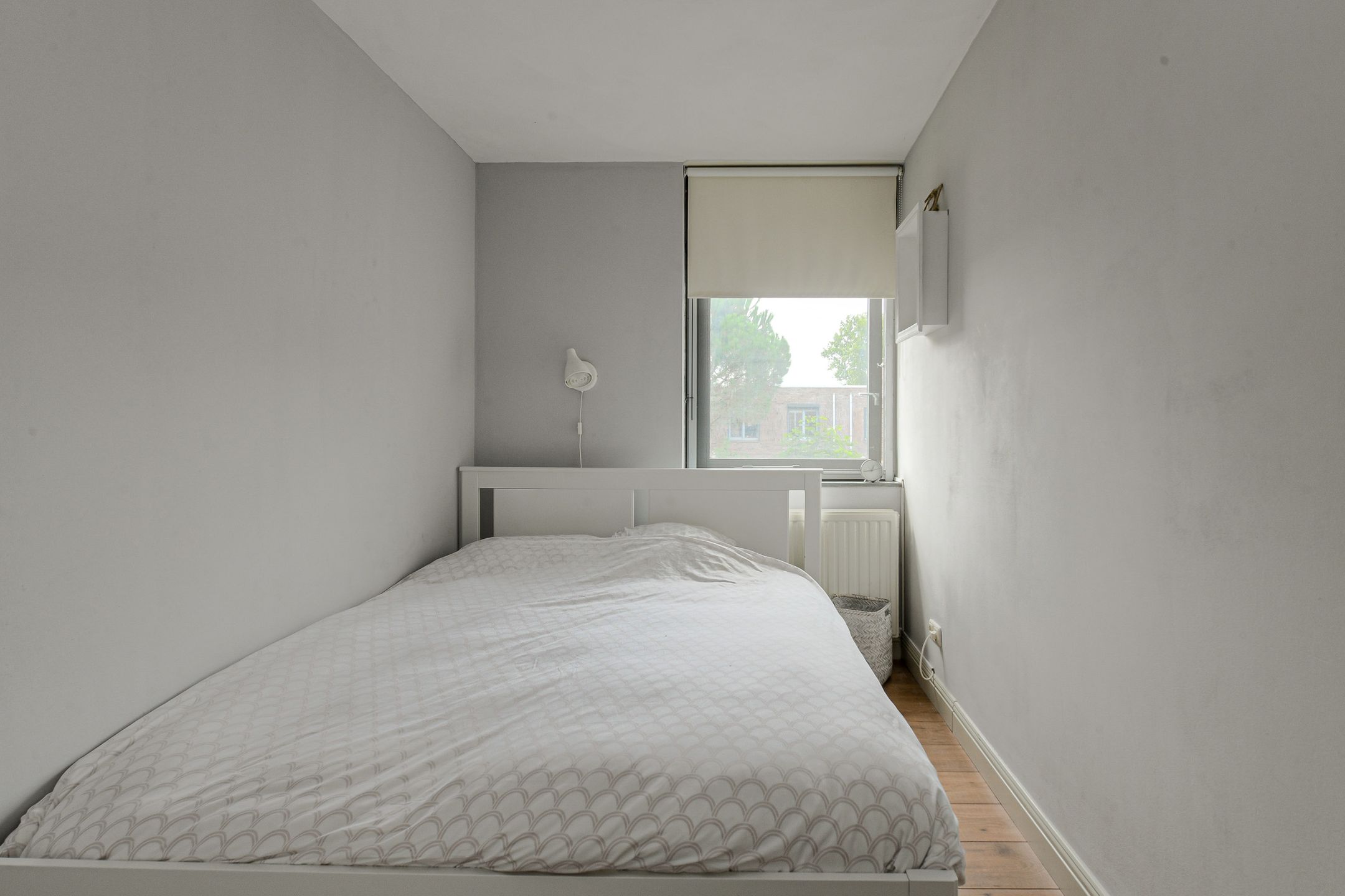 Photo 30 of Priemkruid 87