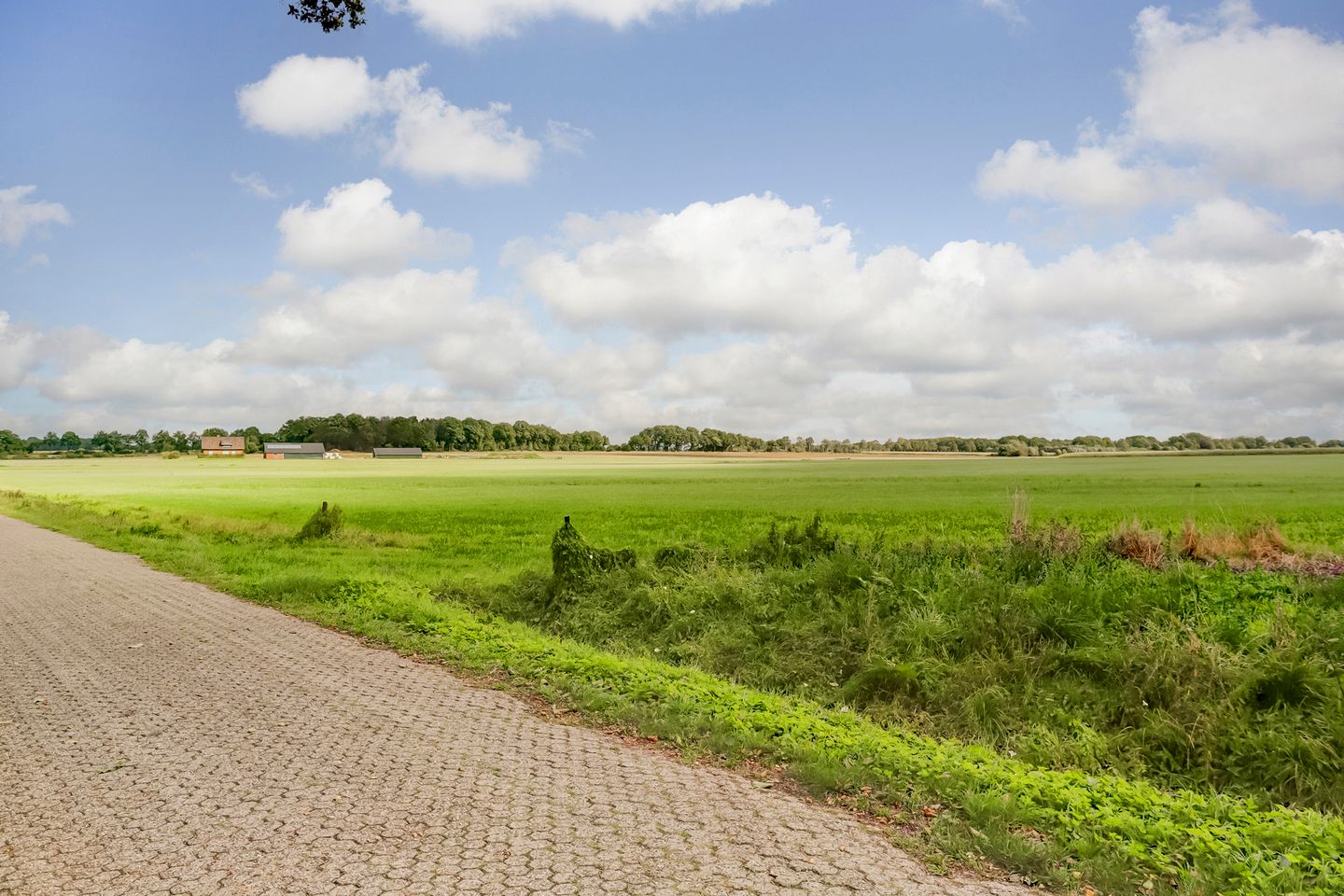 Foto 49 van Beijersdiek 7