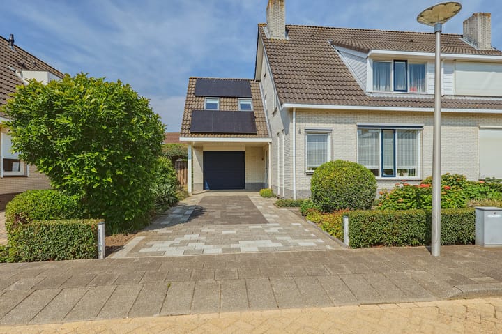 Foto 4 van IJsvogel 13