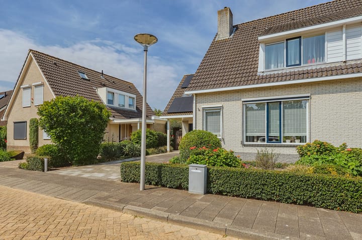 Foto 55 van IJsvogel 13