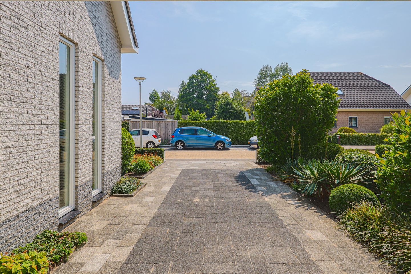 Foto 5 van IJsvogel 13