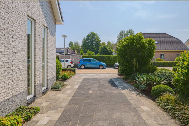 Foto 5 van IJsvogel 13