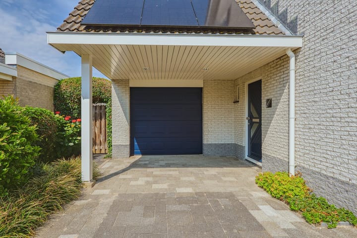 Foto 6 van IJsvogel 13