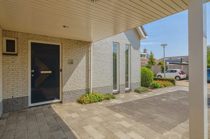 Foto 56 van IJsvogel 13