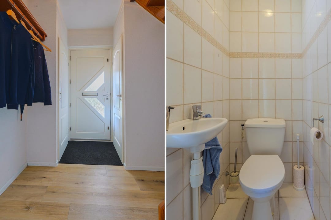 Foto 7 van IJsvogel 13