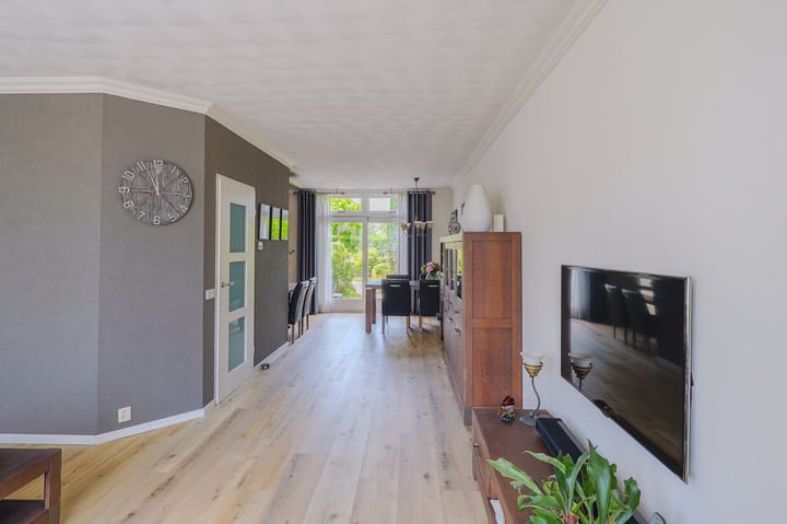 Foto 3 van IJsvogel 13