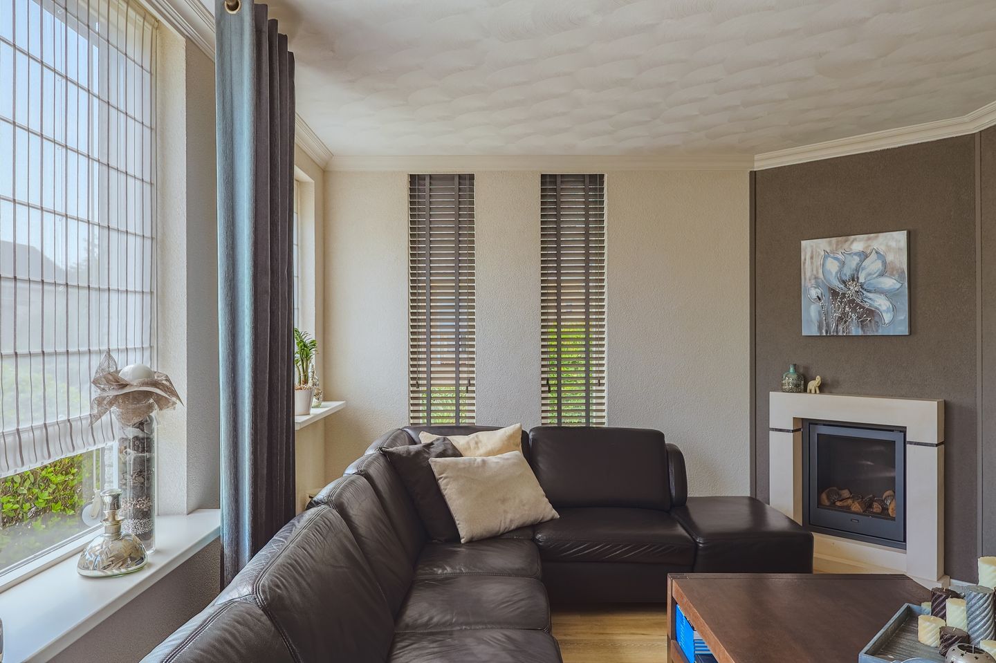 Foto 10 van IJsvogel 13