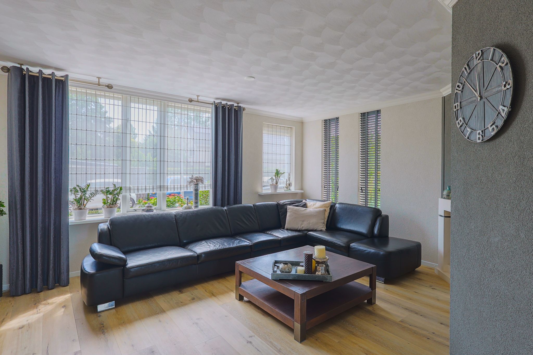 Foto 12 van IJsvogel 13