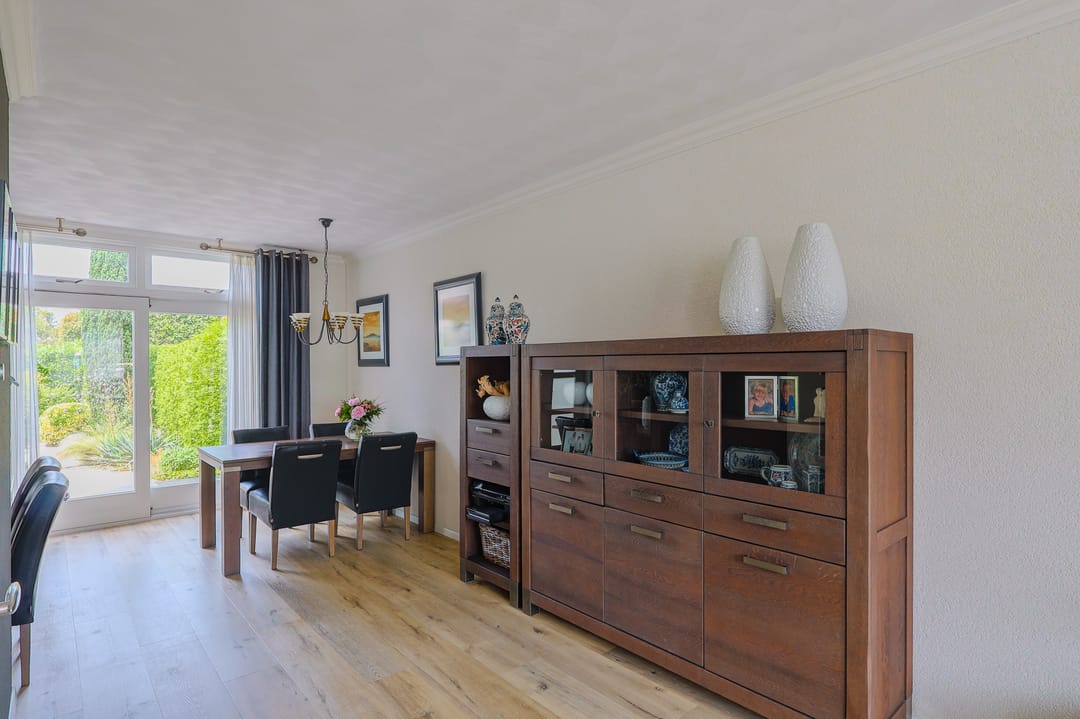 Foto 13 van IJsvogel 13