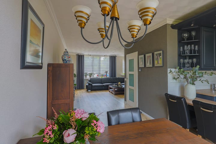 Foto 14 van IJsvogel 13