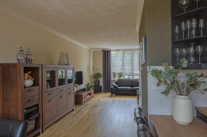 Foto 15 van IJsvogel 13