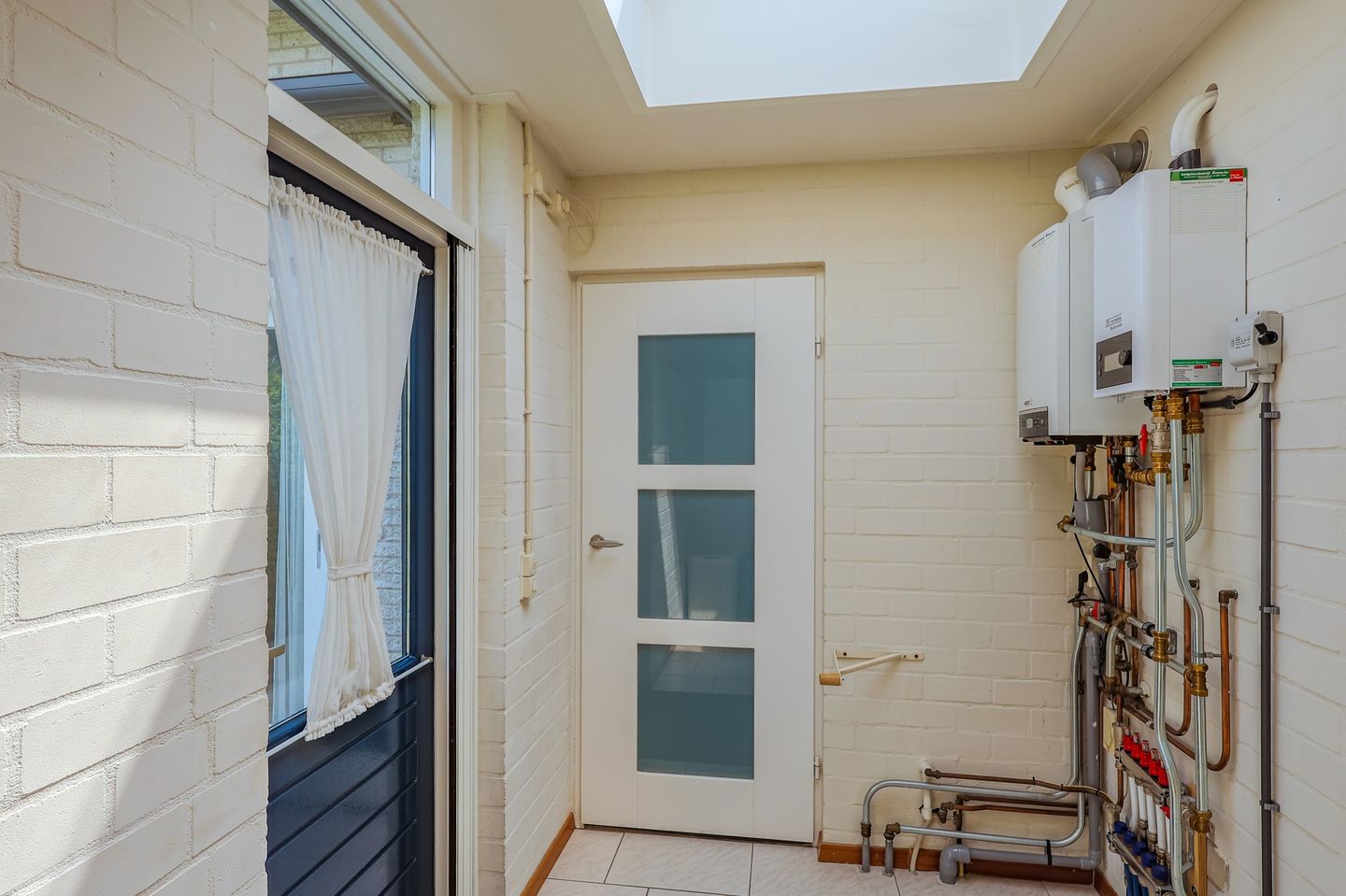 Foto 20 van IJsvogel 13