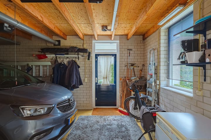 Foto 21 van IJsvogel 13