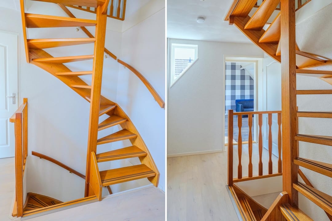 Foto 22 van IJsvogel 13