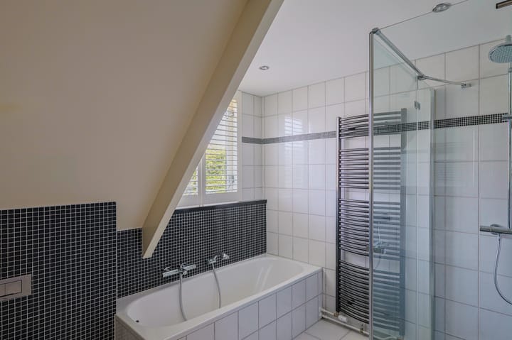 Foto 32 van IJsvogel 13