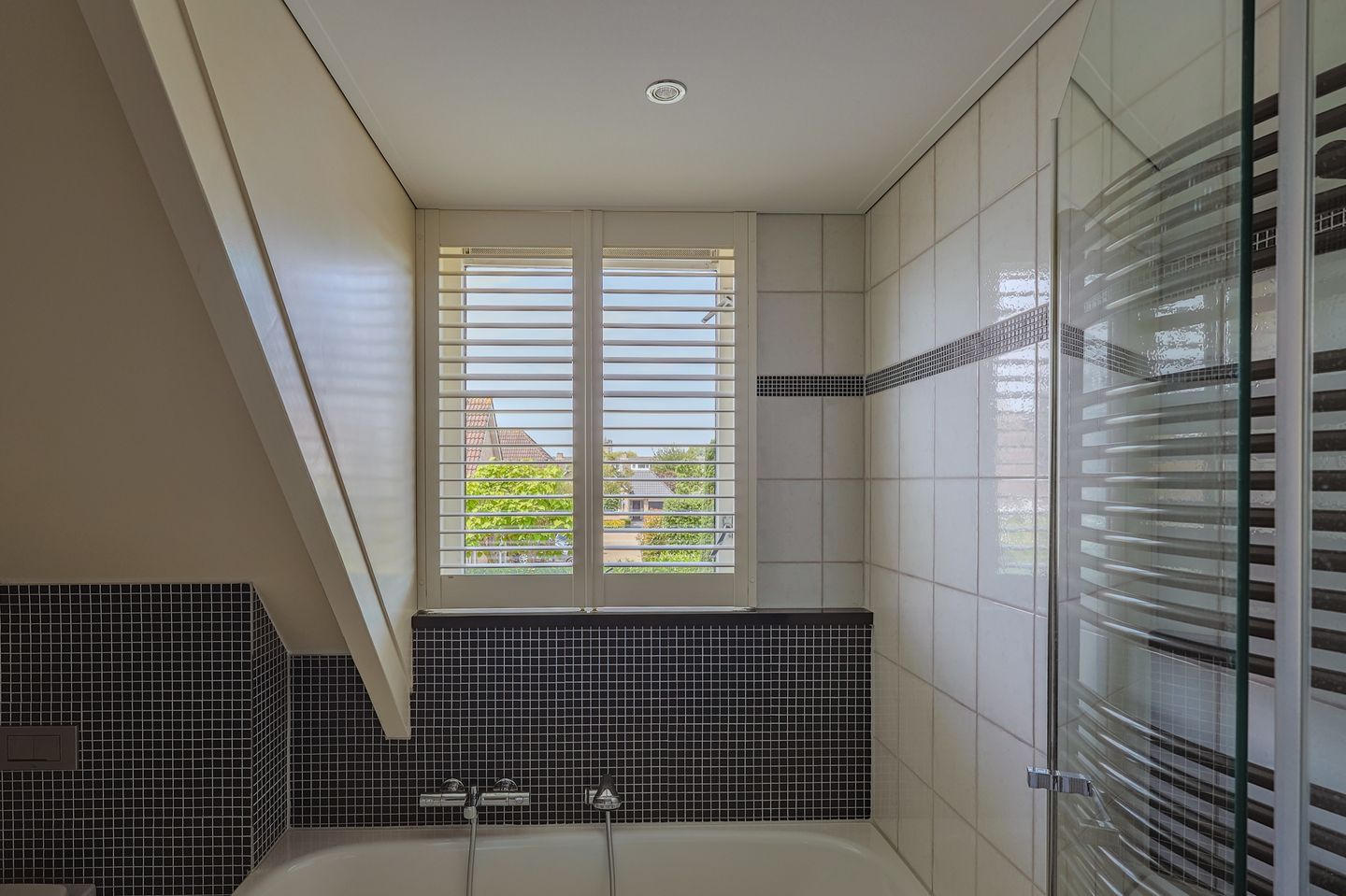 Foto 34 van IJsvogel 13